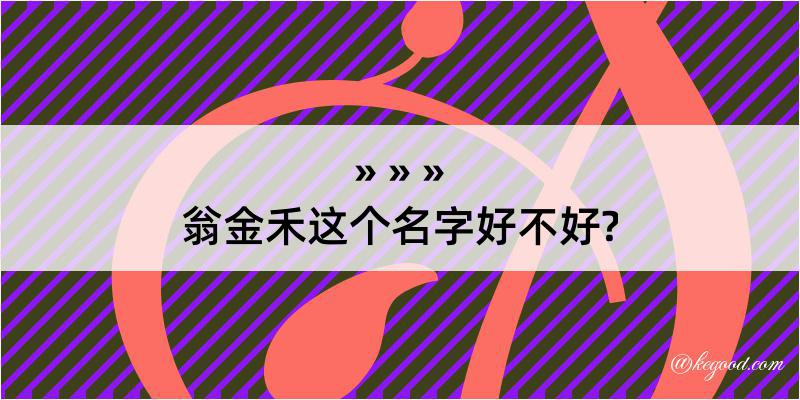 翁金禾这个名字好不好?