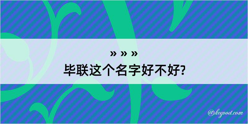 毕联这个名字好不好?