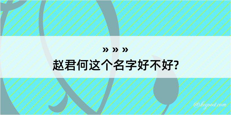 赵君何这个名字好不好?