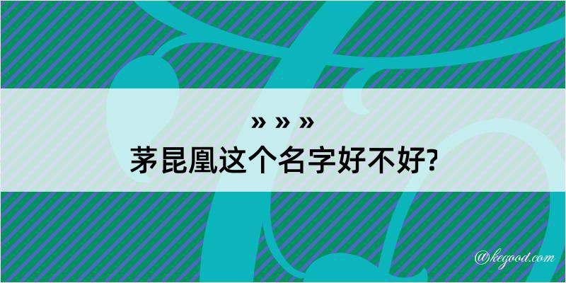 茅昆凰这个名字好不好?