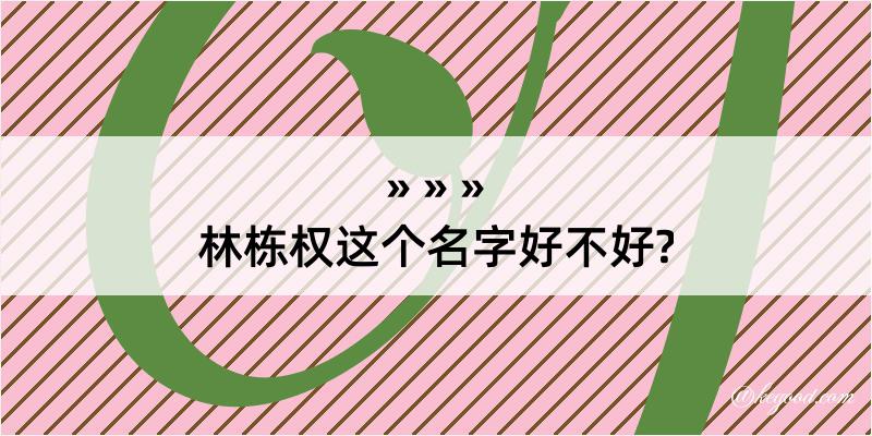 林栋权这个名字好不好?