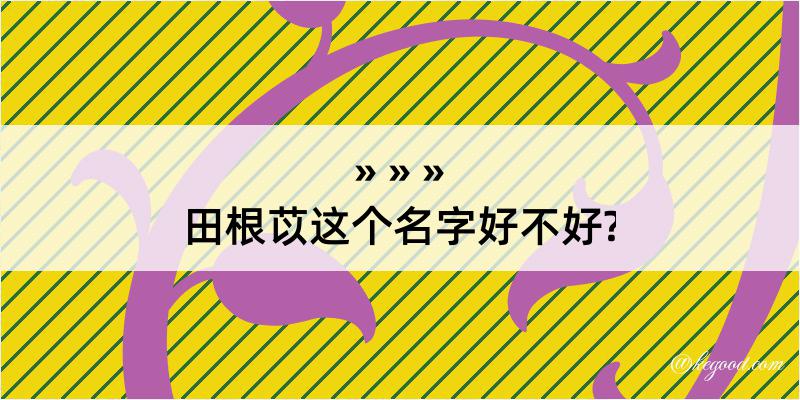 田根苡这个名字好不好?