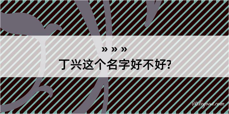 丁兴这个名字好不好?