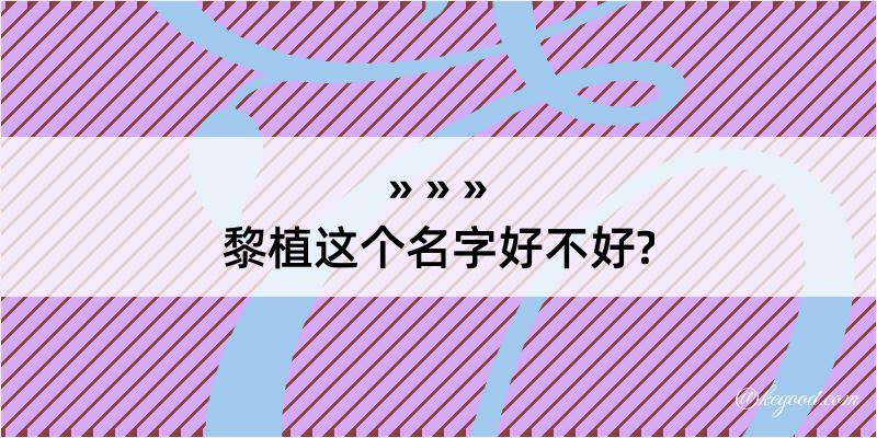 黎植这个名字好不好?