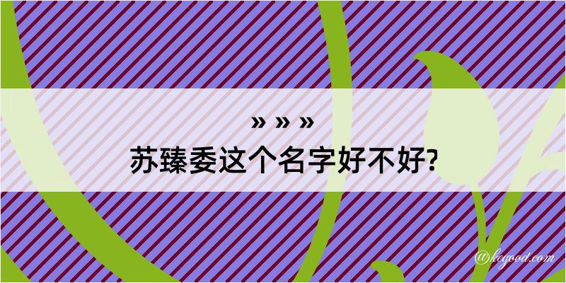 苏臻委这个名字好不好?