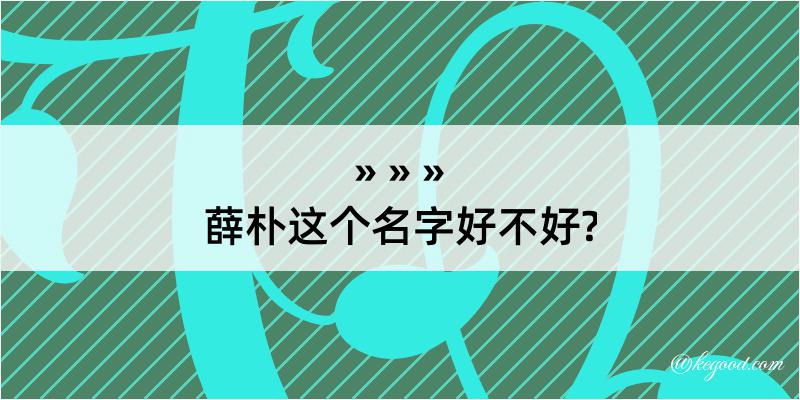 薛朴这个名字好不好?