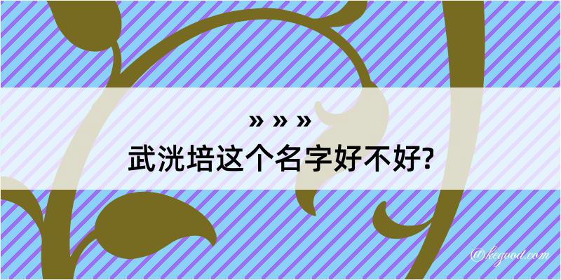 武洸培这个名字好不好?