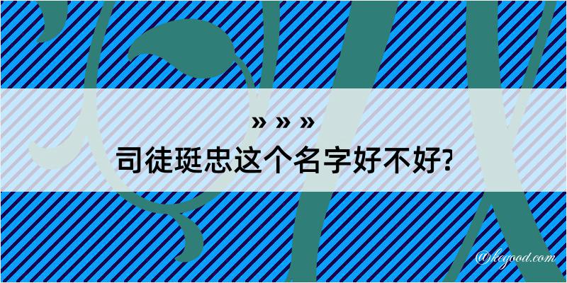 司徒珽忠这个名字好不好?