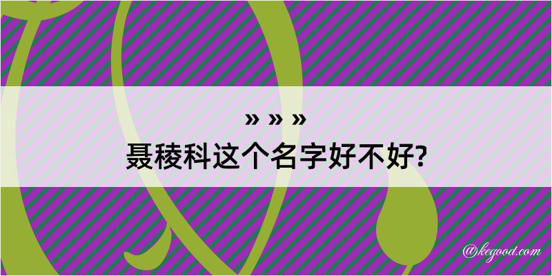 聂稜科这个名字好不好?