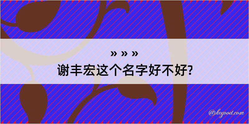 谢丰宏这个名字好不好?