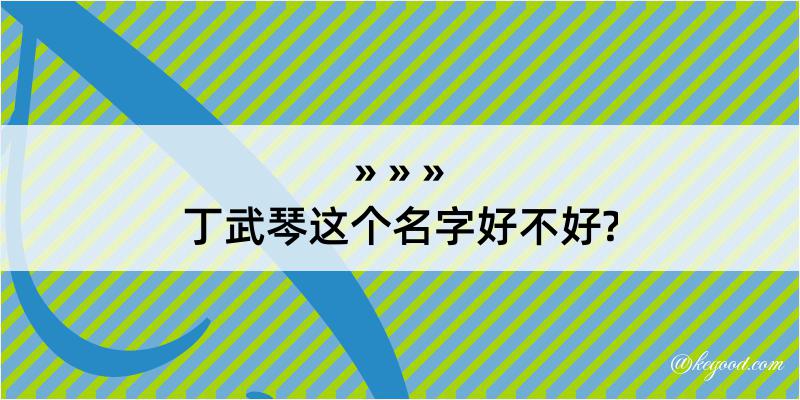 丁武琴这个名字好不好?