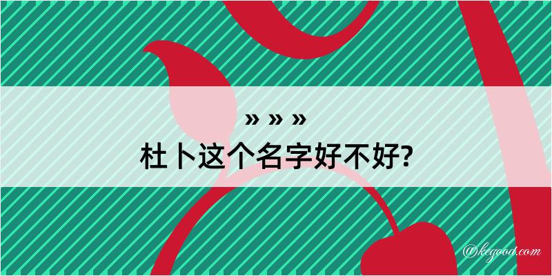 杜卜这个名字好不好?