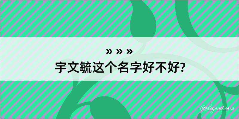 宇文毓这个名字好不好?