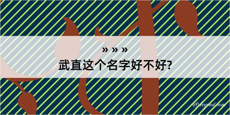 武直这个名字好不好?