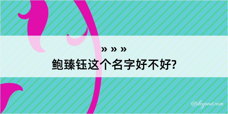 鲍臻钰这个名字好不好?