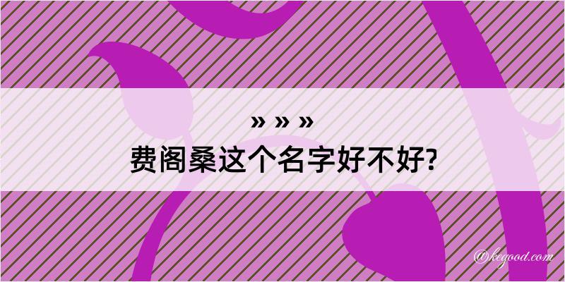 费阁桑这个名字好不好?