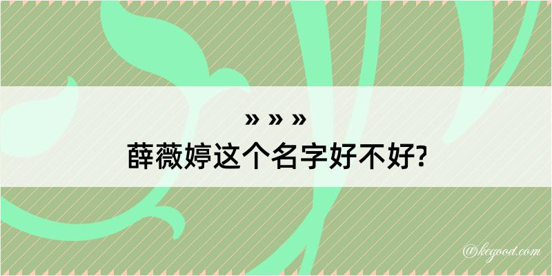 薛薇婷这个名字好不好?