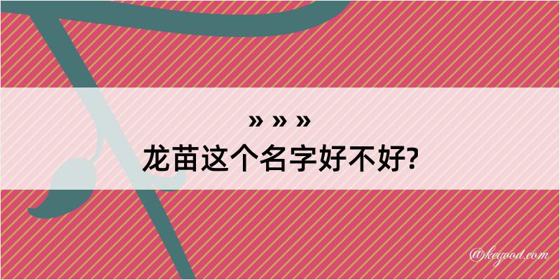 龙苗这个名字好不好?