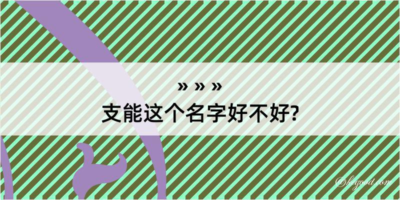 支能这个名字好不好?