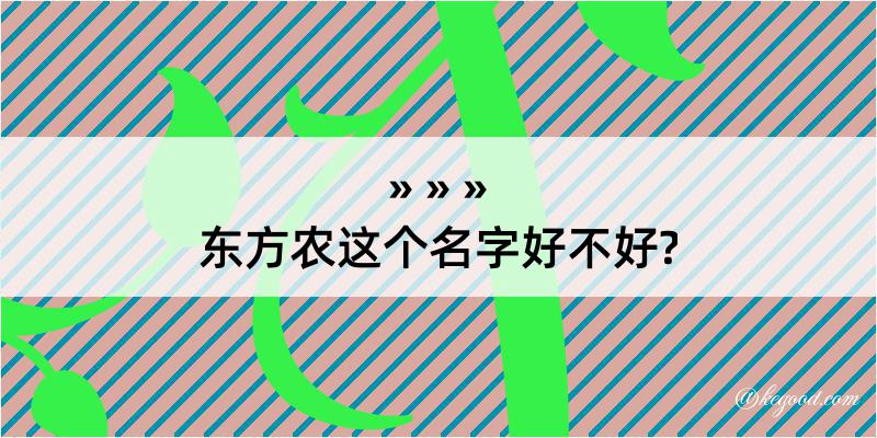 东方农这个名字好不好?