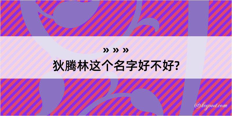 狄腾林这个名字好不好?