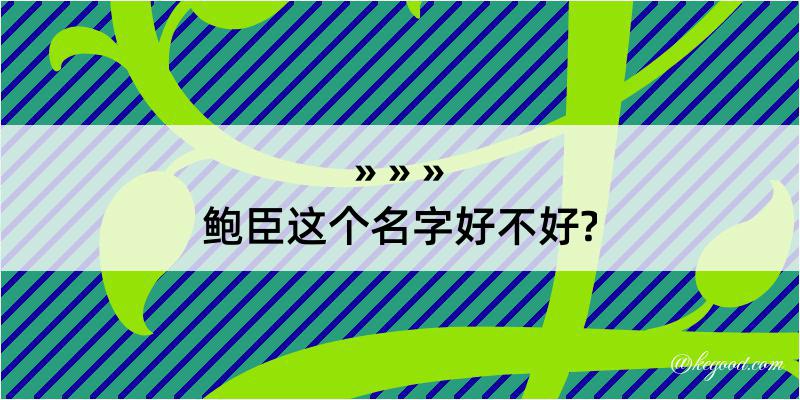 鲍臣这个名字好不好?