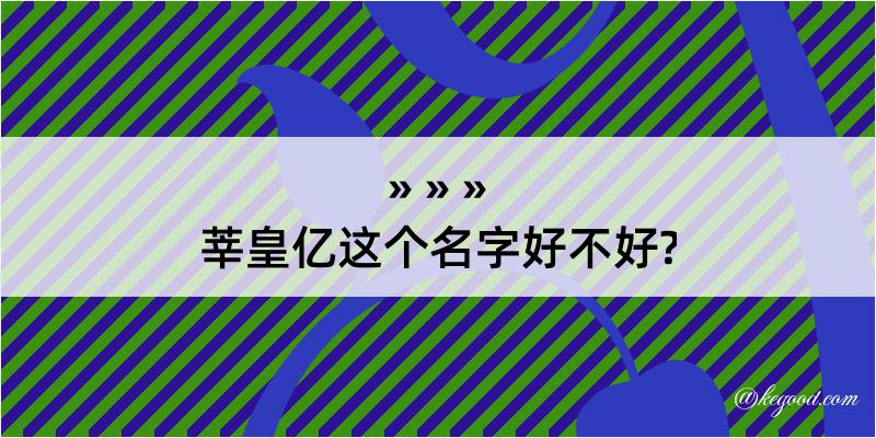 莘皇亿这个名字好不好?