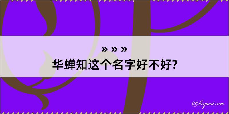 华蝉知这个名字好不好?