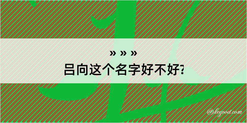 吕向这个名字好不好?