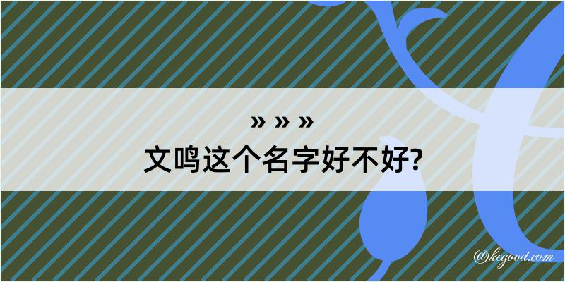 文鸣这个名字好不好?