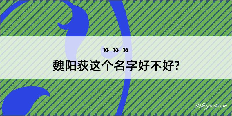 魏阳荻这个名字好不好?