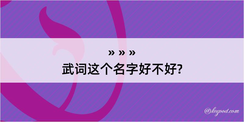 武词这个名字好不好?