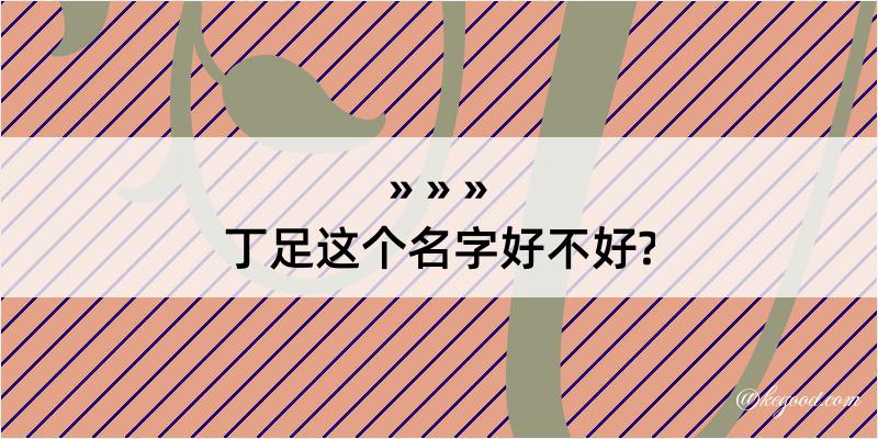 丁足这个名字好不好?