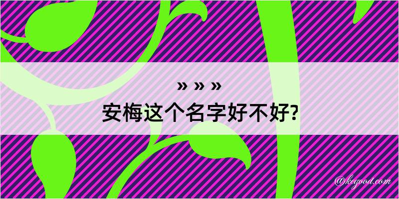 安梅这个名字好不好?