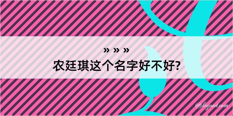 农廷琪这个名字好不好?