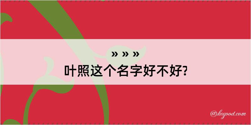 叶照这个名字好不好?