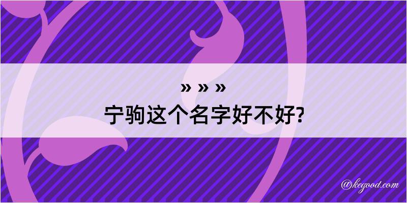 宁驹这个名字好不好?