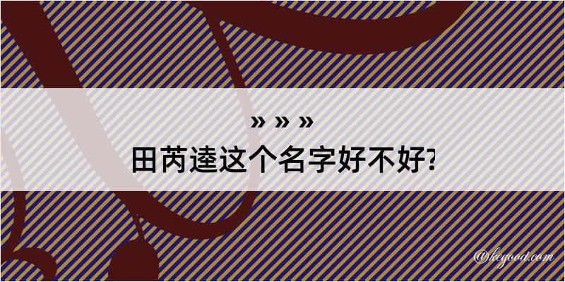 田芮逵这个名字好不好?