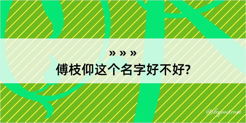 傅枝仰这个名字好不好?