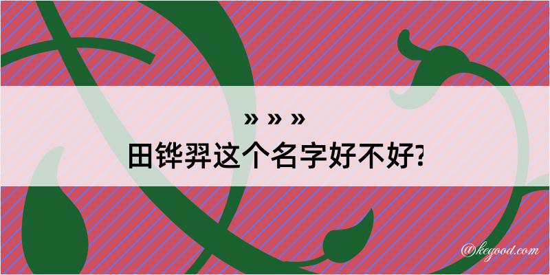 田铧羿这个名字好不好?