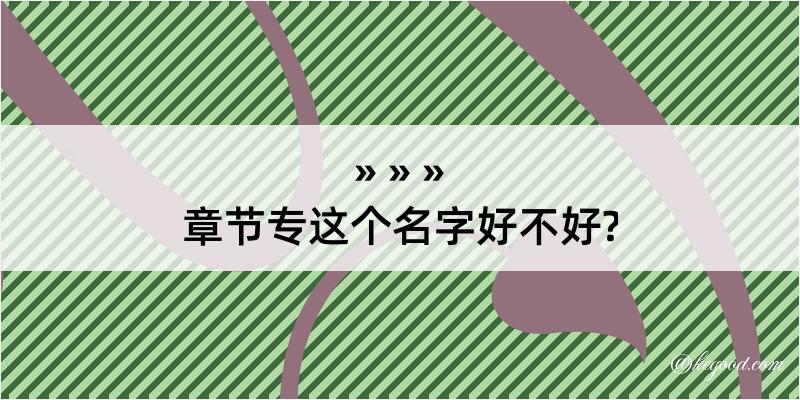 章节专这个名字好不好?