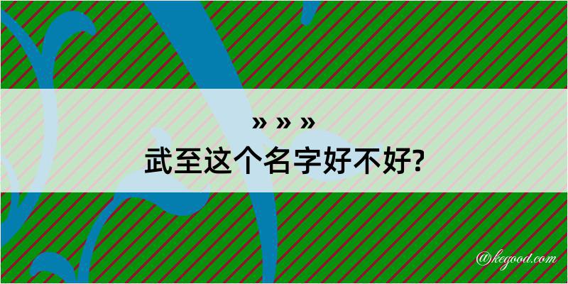 武至这个名字好不好?