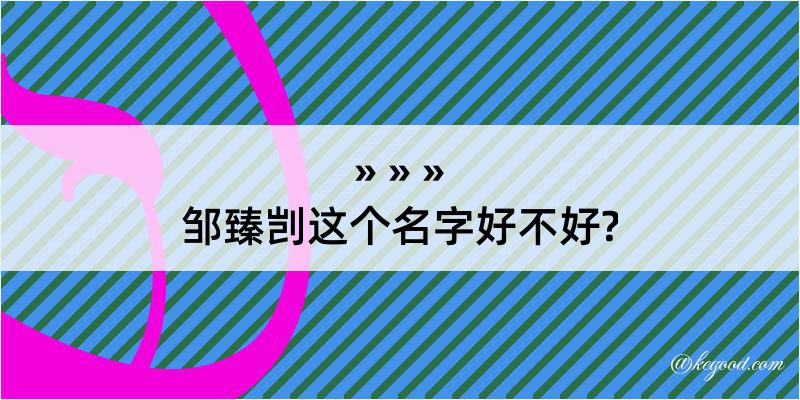 邹臻剀这个名字好不好?