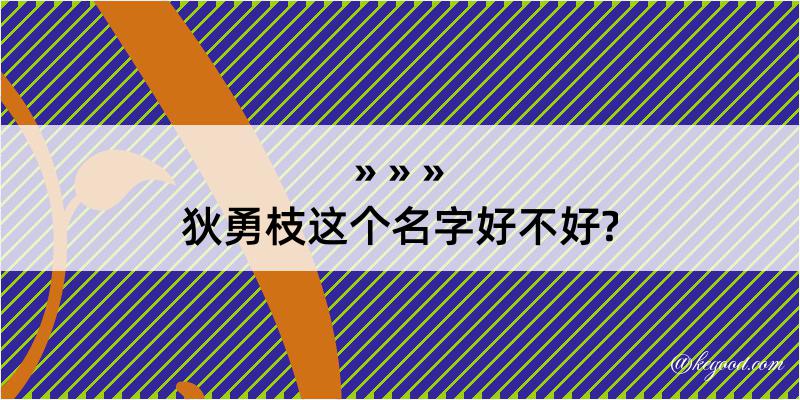 狄勇枝这个名字好不好?