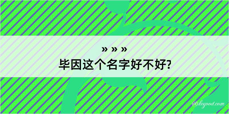 毕因这个名字好不好?