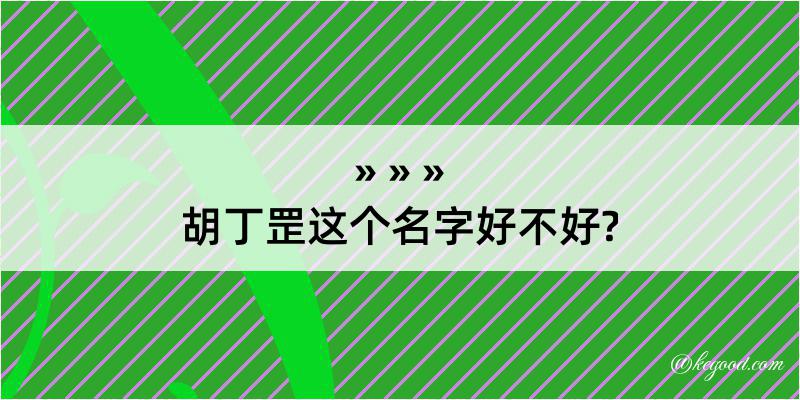 胡丁罡这个名字好不好?