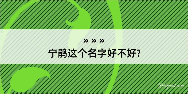 宁鹃这个名字好不好?