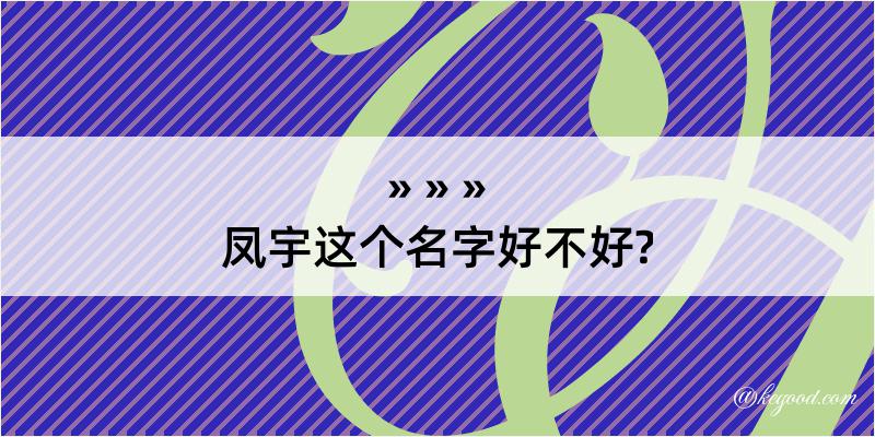 凤宇这个名字好不好?