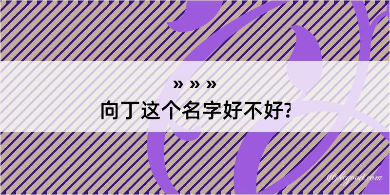 向丁这个名字好不好?