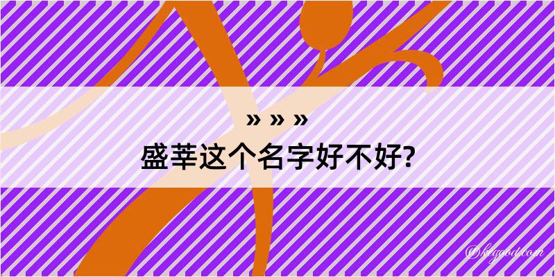 盛莘这个名字好不好?